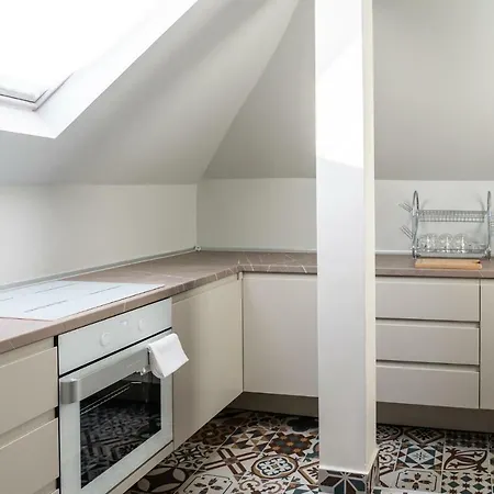 Apartment Gruia Lofts Cluj-Napoca