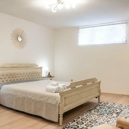 Gruia Lofts Apartment