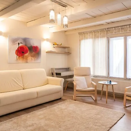 Gruia Lofts Apartment *