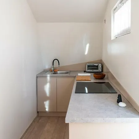 Apartment Gruia Lofts