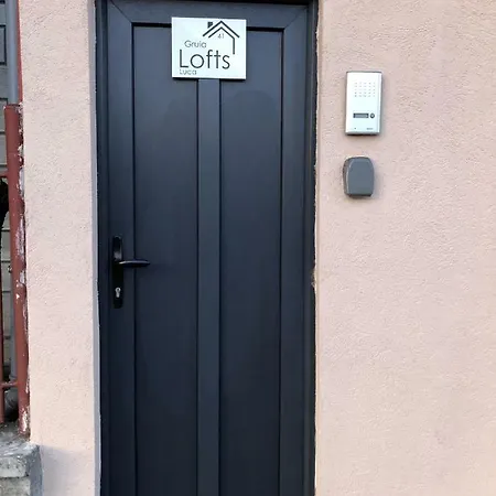 Apartment Gruia Lofts *